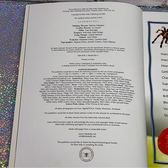 100 Facts BUGS Book Projects Quizzes Fun Facts Cartoons Miles Kelly Publishing - Picture 4 of 12